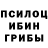 Галлюциногенные грибы Psilocybe Jurga Volodzkiene